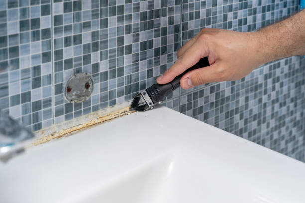 Best Mold Testing and Inspection Services in Cheat Lake, WV