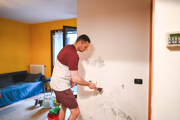 Best Basement Mold Remediation in Cheat Lake, WV